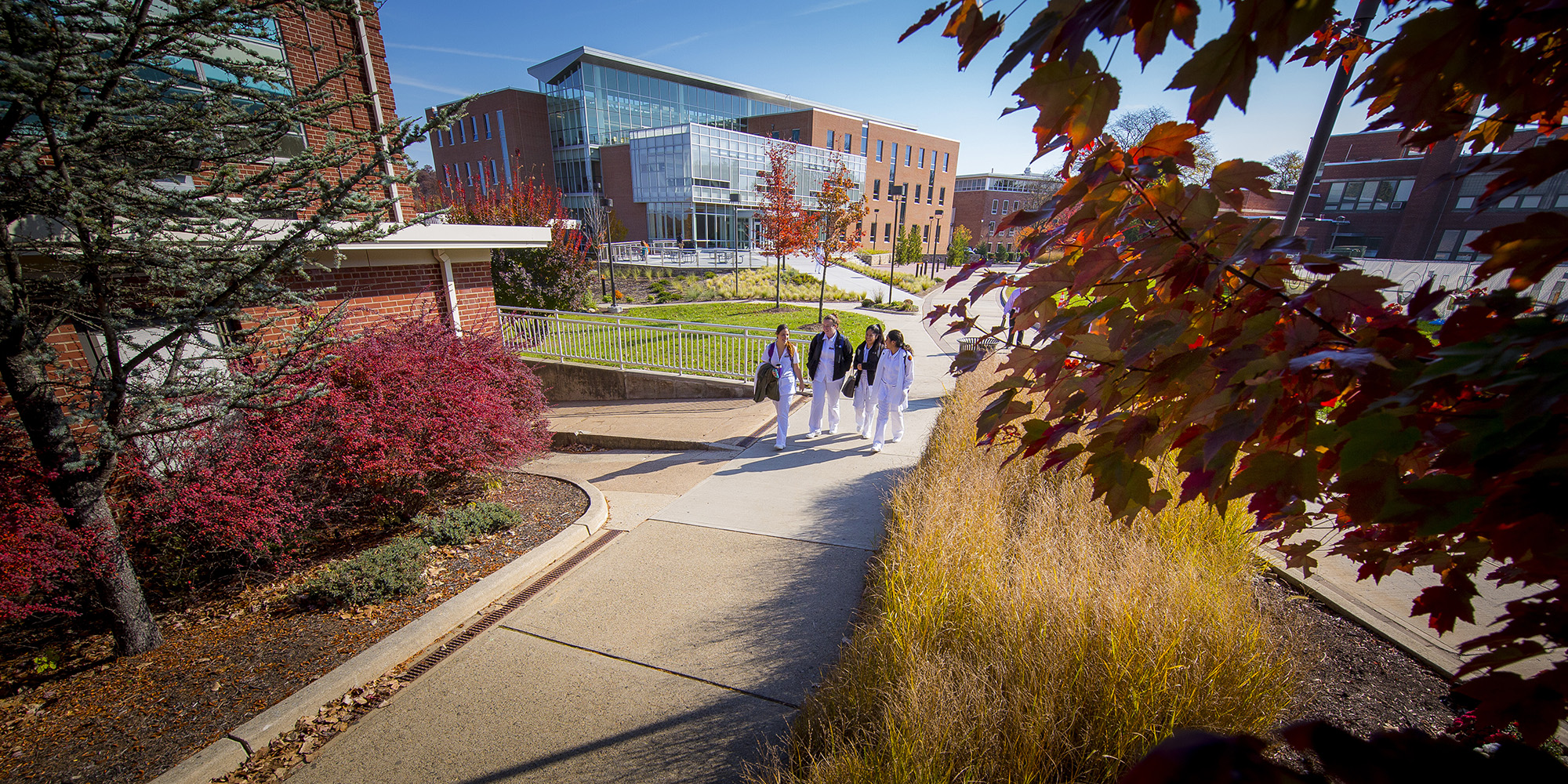 Home William Paterson University